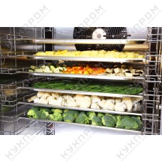 Шкаф шоковой заморозки ABAT ШОК-10-1/1